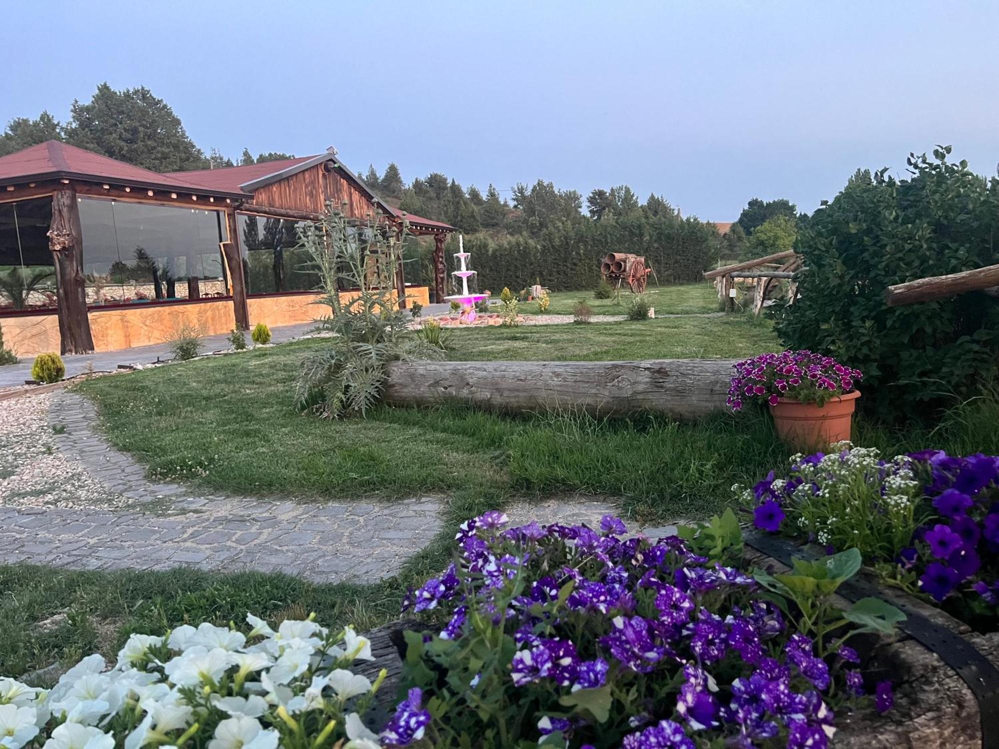 El Burgo De Osma Alojamiento Rural Villa Bagh Екстер'єр фото