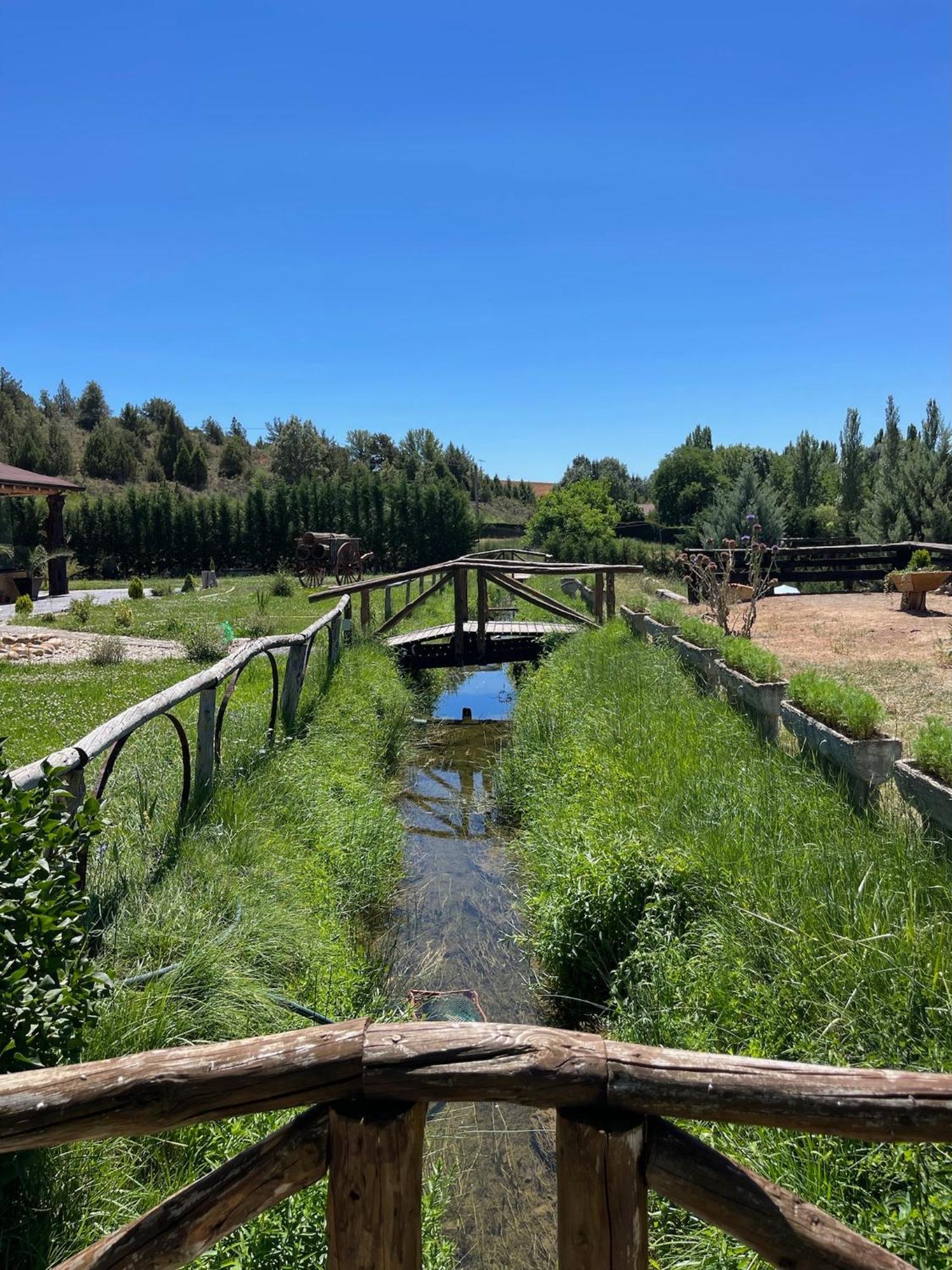 El Burgo De Osma Alojamiento Rural Villa Bagh Екстер'єр фото